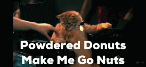 A Cat In A Wheelchair With The Words " Powdered Donuts Make Me Go Nuts " Below It GIF