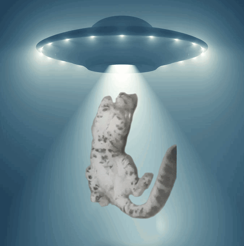 A Cat Is Being Abducted By An Ufo With A Light Shining On It GIF