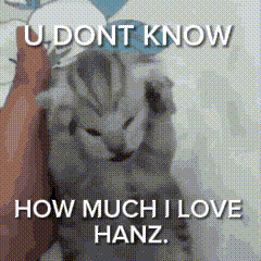 A Cat Is Being Held By A Person With The Words `` U Dont Know How Much I Love Hanz '' Written On It . GIF