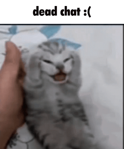 A Cat Is Being Held In A Person 'S Hand And Is Making A Face . GIF