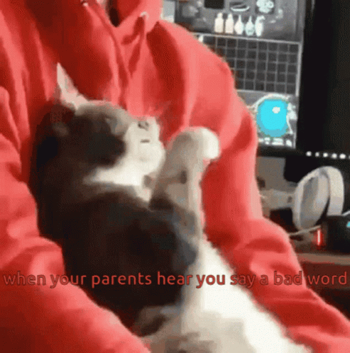 A Cat Is Being Held In Someone 'S Lap With The Words " When Your Parents Hear You Say A Bad Word " GIF