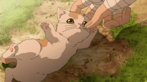 A Cat Is Being Petted By A Person With Bandages On Their Wrists GIF
