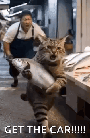 A Cat Is Carrying A Large Fish In Its Paws While A Man Looks On . GIF