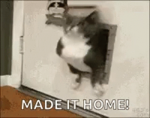 A Cat Is Coming Out Of A Cat Door And Says `` Made It Home ! '' GIF