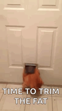 a cat is coming out of a cat door and says `` time to trim the fat '' .