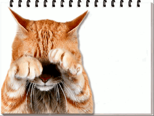 a cat is covering its eyes with its paws on a white background