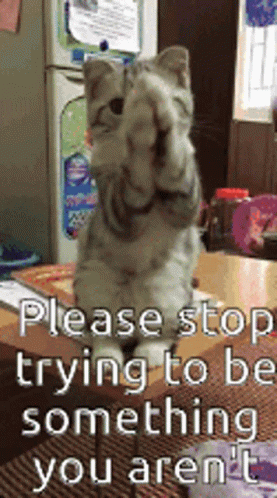 a cat is covering its eyes with its paws while sitting on a table ..