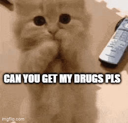 A Cat Is Covering Its Face Next To A Remote Control With The Words Can You Get My Drugs Pls GIF