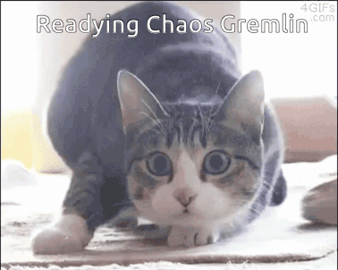 A Cat Is Crawling On The Floor With The Words Readying Chaos Gremlin Written Above It . GIF