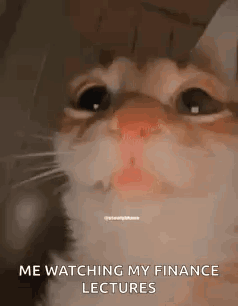 A Cat Is Crying While Watching His Finance Lectures . GIF