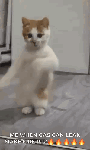 A Cat Is Dancing In Front Of A Mirror With The Caption " Me When Gas Can Leak Make Fire Pt2 " . GIF