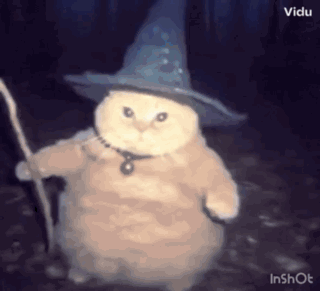A Cat Is Dressed As A Wizard And Holding A Staff . GIF
