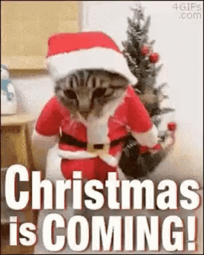 A Cat Is Dressed As Santa Claus And Sitting In Front Of A Christmas Tree . GIF