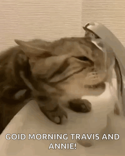 A Cat Is Drinking Water From A Faucet And Says Good Morning Travis And Annie . GIF
