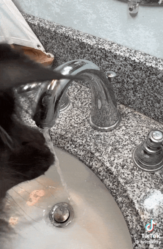 a cat is drinking water from a faucet in a bathroom