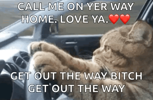 A Cat Is Driving A Car With A Caption That Says Call Me On Yer Way Home Love Ya Get Out The Way Bitch Get Out The Way GIF