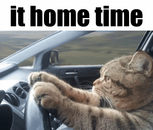 A Cat Is Driving A Car With Its Paws On The Steering Wheel Under The Words It Home Time GIF