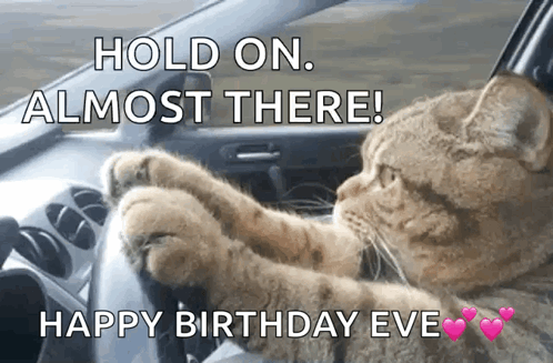 A Cat Is Driving A Car With The Caption Hold On Almost There GIF