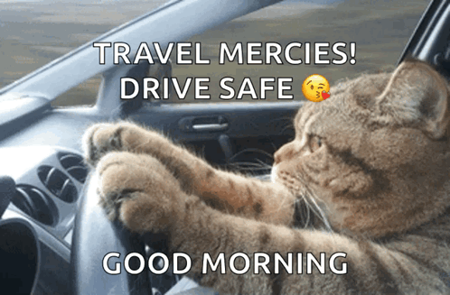 A Cat Is Driving A Car With The Caption Travel Mercies Drive Safe GIF