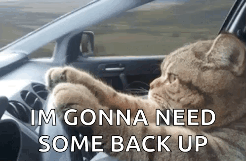 Cat Driving Car I Need Some Back Up GIF
