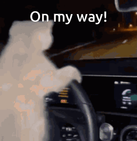 A Cat Is Driving A Car With The Words " On My Way " Written On The Bottom GIF
