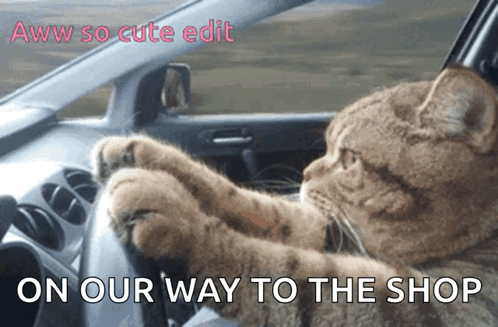 A Cat Is Driving A Car With The Words On Our Way To The Shop Below It GIF