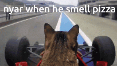 A Cat Is Driving A Race Car With The Words Nyar When He Smell Pizza GIF