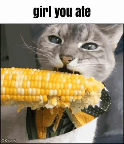 A Cat Is Eating A Piece Of Corn On The Cob GIF
