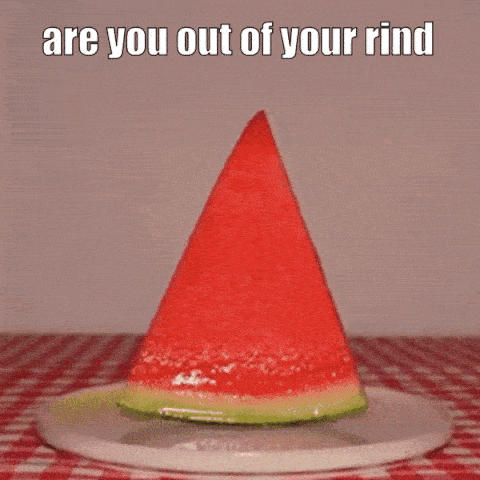 A Cat Is Eating A Slice Of Watermelon On A Plate With The Caption " Are You Out Of Your Rind " GIF