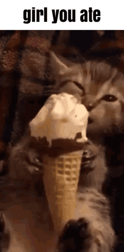 A Cat Is Eating An Ice Cream Cone With A Caption That Says Girl You Ate . GIF