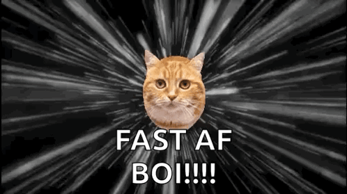 A Cat Is Flying Through Space With The Words `` Fast Af Boi !!! '' Written On It . GIF