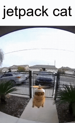 A Cat Is Flying Through The Air Wearing A Jetpack GIF