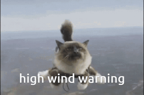A Cat Is Flying Through The Air With A High Wind Warning Written Below It GIF