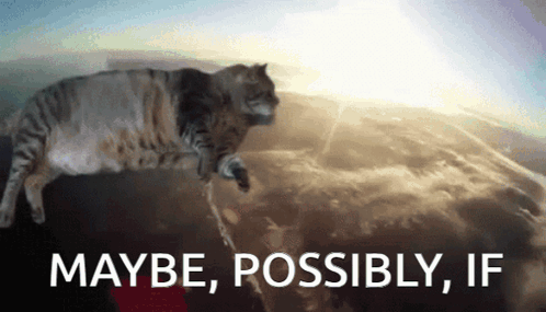A Cat Is Flying Through The Air With The Words Maybe Possibly If Behind It GIF