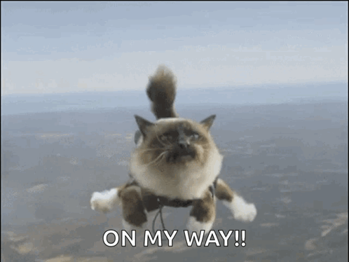 A Cat Is Flying Through The Air With The Words On My Way Written Below It GIF
