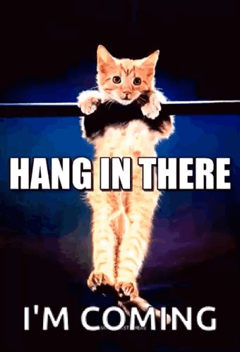 A Cat Is Hanging From A Bar With The Words Hang In There I 'M Coming Below It GIF