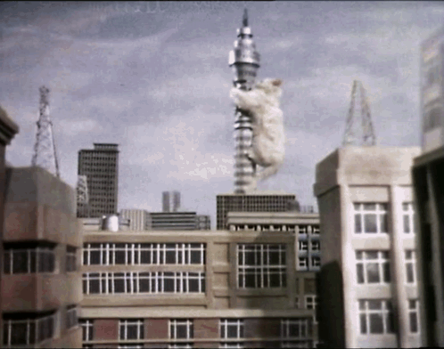 A Cat Is Hanging From A Very Tall Building GIF