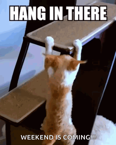 A Cat Is Hanging Upside Down On A Ladder With The Words Hang In There Weekend Is Coming GIF