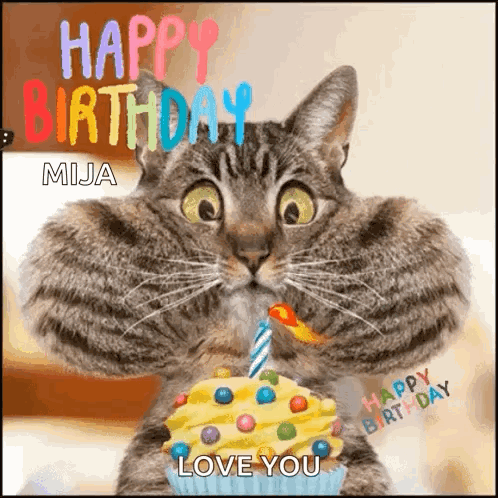 A Cat Is Holding A Cupcake With A Candle And Says Happy Birthday Mija Love You GIF