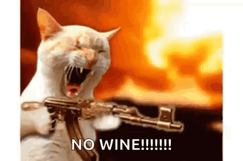 A Cat Is Holding A Gun In Front Of A Fire And Saying No Wine !!! GIF