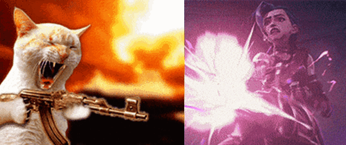 A Cat Is Holding A Gun Next To A Picture Of A Woman Holding A Gun GIF