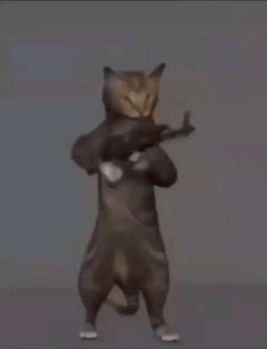 A Cat Is Holding A Gun Over Its Shoulder In A Cartoon . GIF