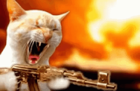 A Cat Is Holding A Gun With Its Mouth Wide Open GIF