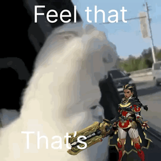 A Cat Is Holding A Gun With The Words Feel That That 'S On It GIF