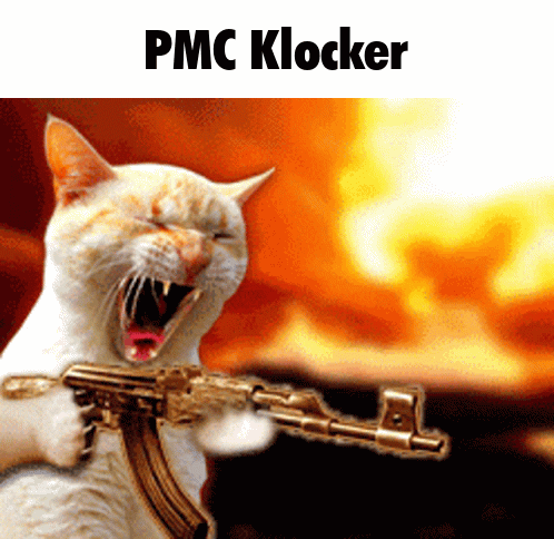 A Cat Is Holding A Gun With The Words Pmc Klocker Above It GIF