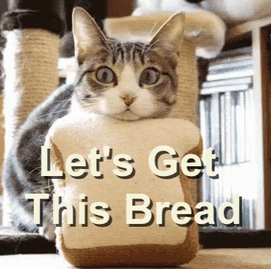 A Cat Is Holding A Loaf Of Bread With The Words Let 'S Get This Bread Written On It GIF