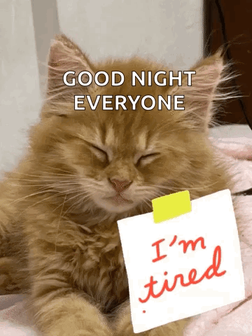 A Cat Is Holding A Piece Of Paper That Says I 'M Tired On It GIF