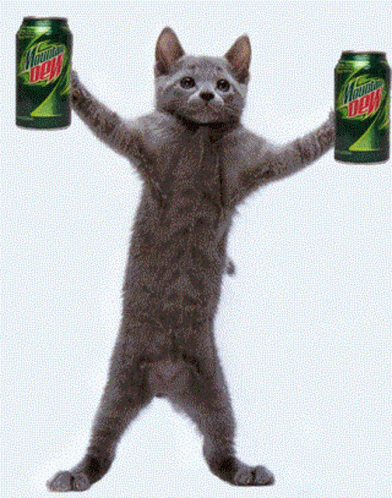 Cat Holding Two Mountain Dew Cans GIF