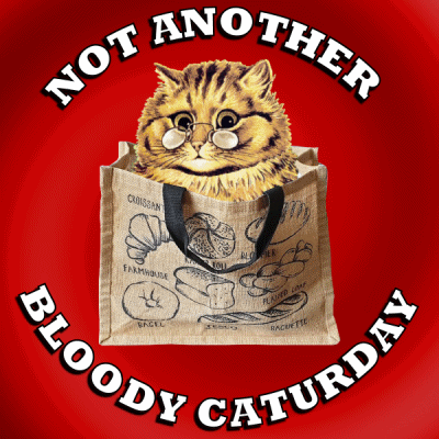 A Cat Is In A Bag That Says Not Another Bloody Caturday GIF
