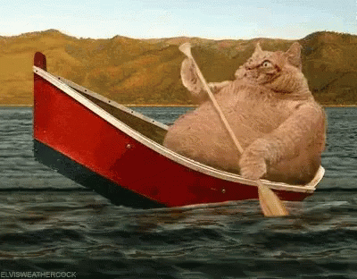 A Cat Is In A Boat With A Paddle In The Water .. GIF